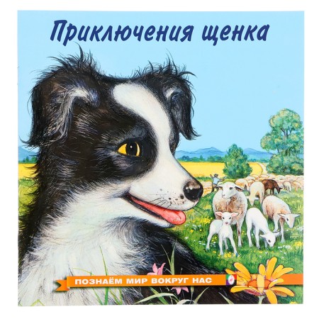 We know the world around us “The Adventures of the Puppy”, 16 p.