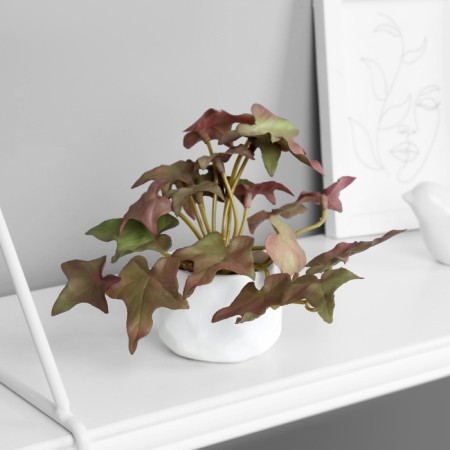 Bonsai in the pot "ivy indoor suite" (soft sheet) 9x6 cm, mix-2