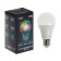 LED LED RGB+W, with a remote control, A60, 10 W, 800 lm, E27, 220 B