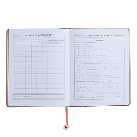Universal Grade 1-11 Diary, 48 sheets "Pattern", solid cover of artificial leather, foil embossing, liesse, universal cheat sheet, block 80 g/m2-8