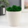 Kashpo concrete "Beauty" height 8 cm white with moss (moss green stabilized)