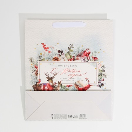 Laminated vertical package “Congratulations to you”, m 30 x 26 x 9 cm, New Year-7