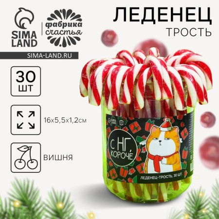 New Year! Lollipop cane "with NG, in short", 26 g.