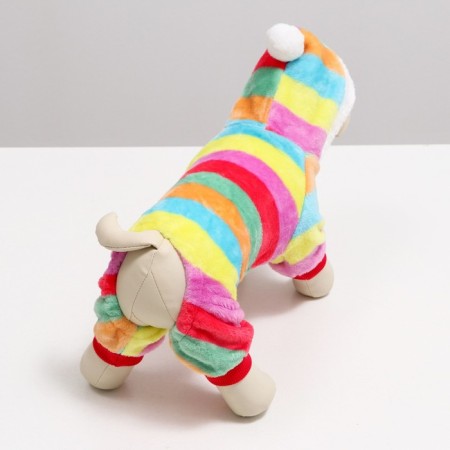 Combineson "Rainbow" with a hood, size M (DS 30 cm, og 40 cm, osh 30 cm)-3