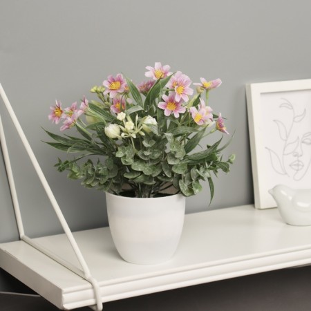 Bonsai in the pot "Freesia Premium Extra" 21x9 cm, mix-2