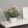 Bonsai in the pot "Freesia Premium Extra" 21x9 cm, mix
