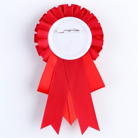 Icon - Order for graduation "Graduate of primary school", D = 9 cm-3