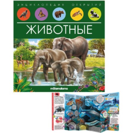 Book-paranoramka. Animals