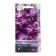 Flowers of mattiola flower fragrant bouquet purple, 0.05 rub