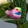 Decor "Bird" 4.5 x 2.5 x 2.5 cm