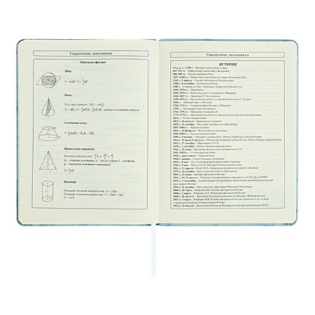 Diary 1-11 grade "Blue marble", artificial leather, a solid cover with embossing, with liesa, 48 sheets-11