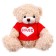 Soft toy "Favorite Bear", 20 cm, Mix colors