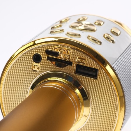 Microphone for karaoke Luazon LZZ-70, WS-868L, 5 W, 1800 mAh, Voice Corr, backlight, golden-3