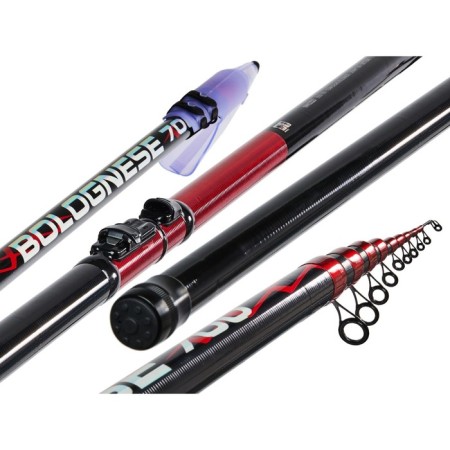 The float rod with the rings of Team Salmo Bolognes, test 2-15 g, length 7 m.-1