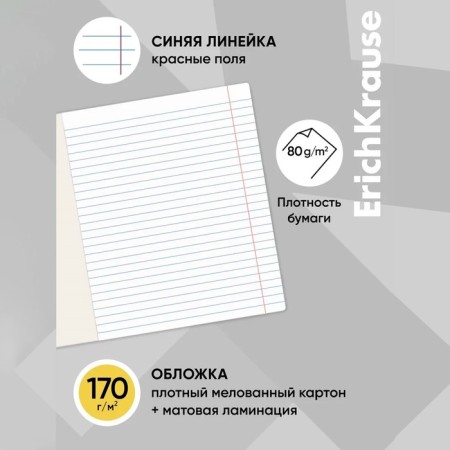 Notebook of 12 sheets in the Erichkrause "fineline" line, matte lamination, cover of coated cardboard, offset unit, mix-2