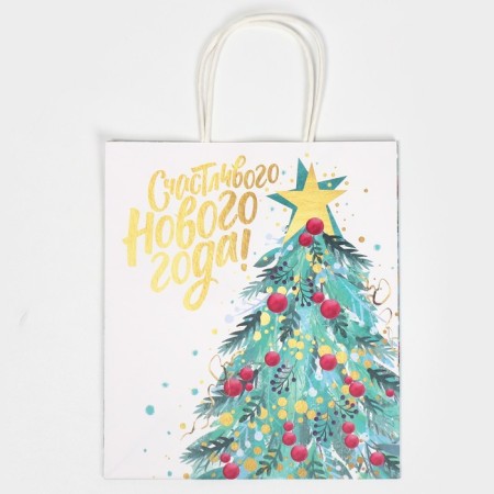 Package Gift Craft "Star", 22 x 25 x 12 cm, New Year-5