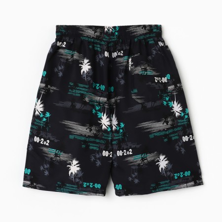 Bathing male shorts, turquoise size 54-2