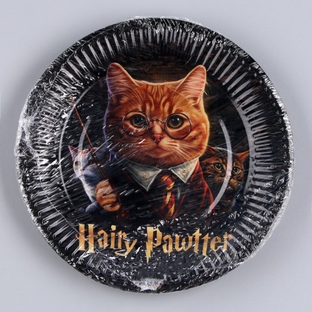 Disposable paper plate "Happy Birthday", magic cat, 18 cm-4