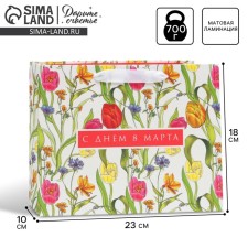 Package Gift Laminated Horizontal, Packaging, 