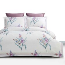 Постельное бельё 2 сп Eхclusive Calantha, размер 240х260 см, 200х220 см, 50х70 см, 70х70 см