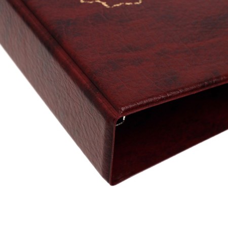 Album for coins on rings, Optima format 230 x 265 mm Calligrata "Map", includes up to 20 sheets, covering artificial leather, brown-2