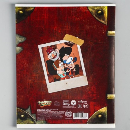 Notebook of 48 sheets in a cage, cardboard cover "Secret Notebook", gravity Folz-3