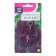 Flowers of Petunia "Duo Blue", F1, 10pcs