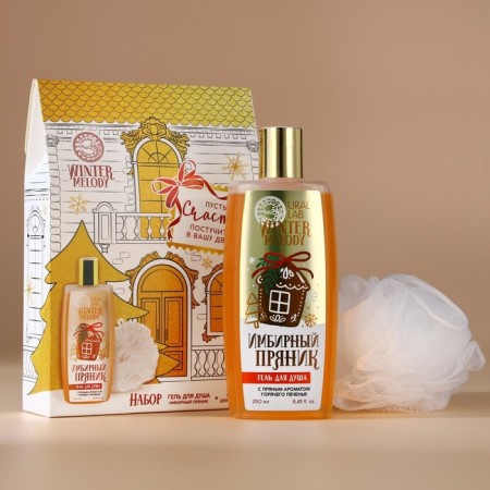 Gift set of cosmetics, shower gel 250 ml and washcloth, Winter Melody by Ural Lab-1