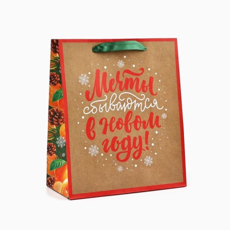 Craft vertical “Dreams Complete” package, Ml 23 x 27 x 11.5 cm, New Year-1