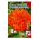 Flower seeds marigolds “Orange Prince”, o, 0.1 g