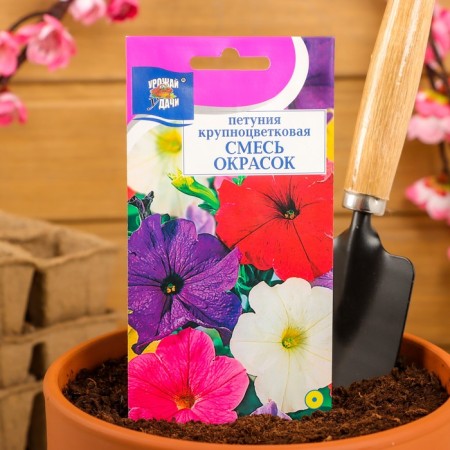 Petunia flowers are large -flowered mixture of colors, 0.1 g-2