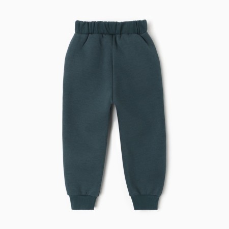Set for a boy (sweatshirt, trousers), emerald color, height 110 cm-8