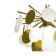 Alvia chandelier, size 60x45 cm, 6x5W, E14