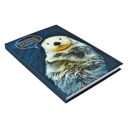 Diary of a low-up A5, 128 sheets, "Serious Diary", Cardboard 7BC cover, Soft-Touch lamination, Block 70 g/m2-1