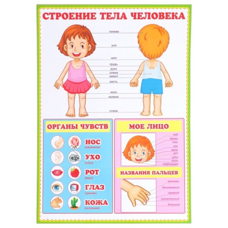 Set of posters "for the smallest" 30x43 cm-5