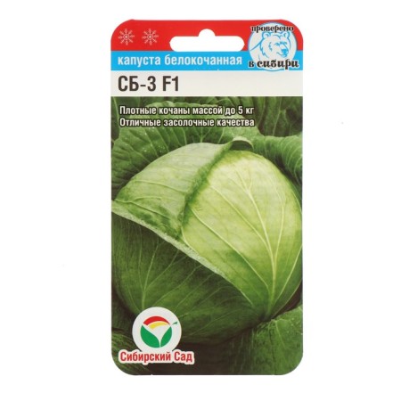 White cabbage seeds "SB-3", F1, 25 pcs.-5