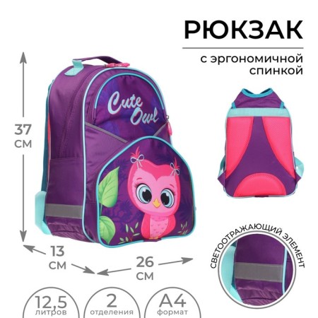 School backpack Calligrata "Owl", 37x26x13 cm