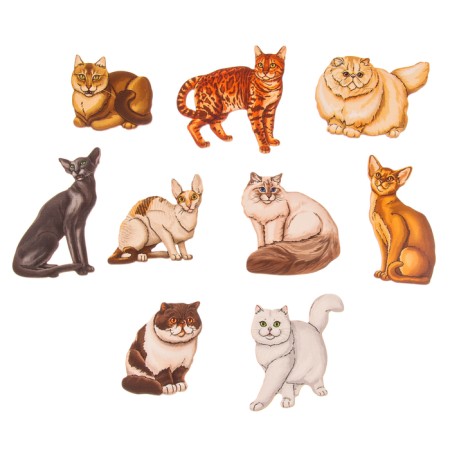 The frames of the "cats of cats"-3