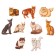 The frames of the "cats of cats"