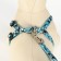 The stolen set "Militari", leash 120 x 1 cm, OG 23-35 cm, blue