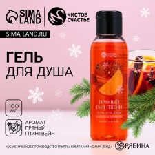 Shower gel, 100 ml, fragrance of spicy mulled wine, pure happiness