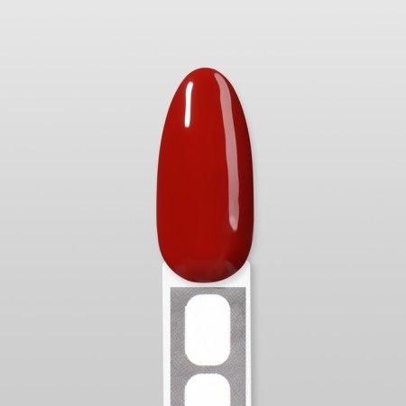 Simple nail polish gel, 3 phase, 10 ml, led/uv, color (141)-15