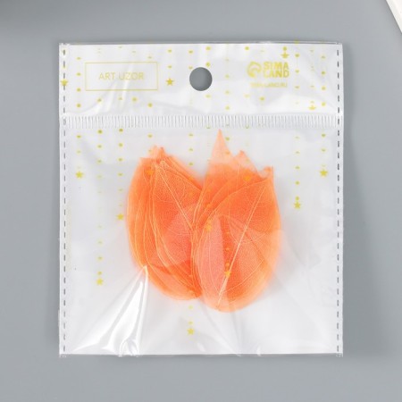 Leaves skeletoned for creativity "orange" set 20 pcs h = 6-6.5 cm-3