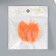 Leaves skeletoned for creativity "orange" set 20 pcs h = 6-6.5 cm