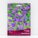 Treitel Locker Kvin Fabiola, 10 pcs, rr 5/+, spring 2025