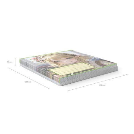 Notebook of 24 sheets in the Erichkrause line "Elves Anime", cover coated cardboard, mix-10