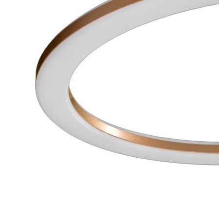 Luer with PDD "Ringo" 4XLED 100W 3000-6000K gold 60x50x10.5 cm-5