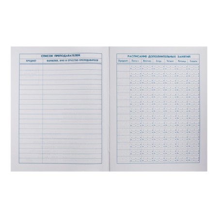 School diary for grades 1-11, "marmalade bear", a solid cover, print on holographic lamination, glossy lamination, an offset block 65g/m2, a universal cheat sheet, 48 sheets-4