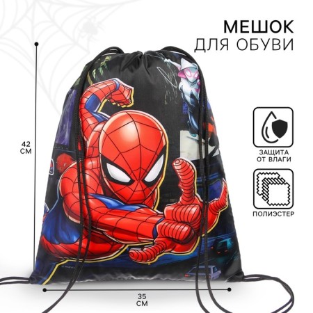 A bag for shoes 420 x 350 mm, spider-person (soft polyester, density 210d)