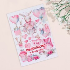 Folder for the birth certificate 